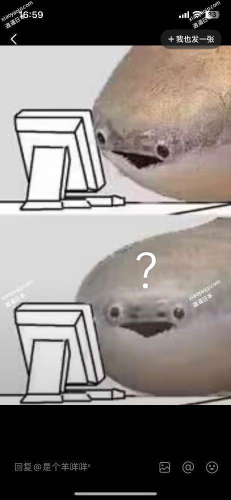 IMG_3160.png