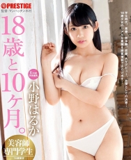 53.小野はるか