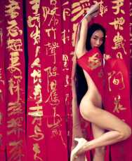 网红贴107